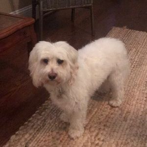 Meet your Posher, Tabitha